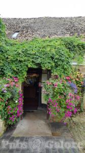 Picture of The Plough Inn