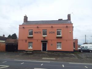 Picture of White Lion