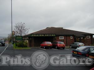 Picture of The Colliers Return