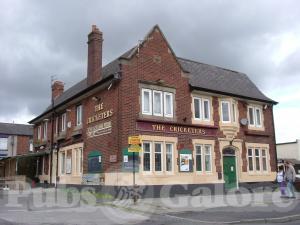 Picture of The Cricketers