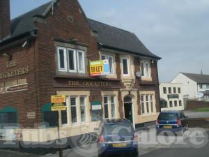 Picture of The Cricketers