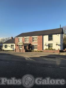 Picture of The Rose Of Lancaster