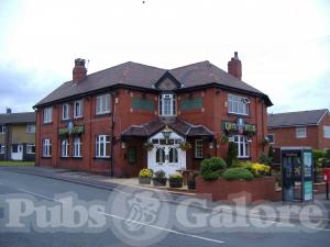 Picture of Turks Head