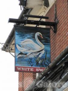 Picture of The White Swan