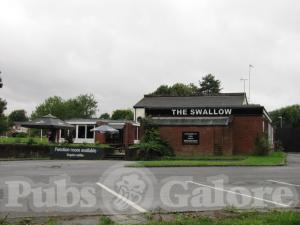 Picture of The Swallow