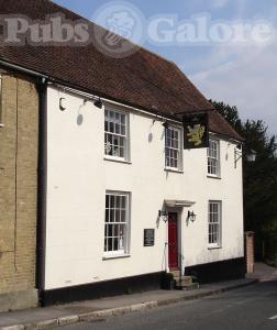 Picture of The Golden Lion