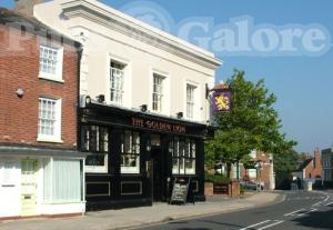 Picture of The Golden Lion