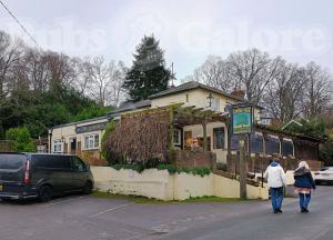 Picture of The Linden Tree