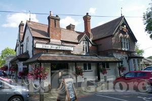 Picture of The New Forest