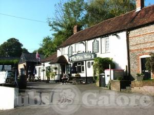 Picture of The White Horse