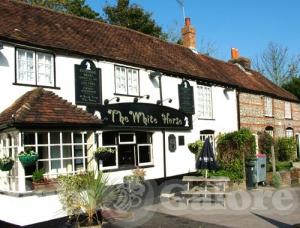 Picture of The White Horse