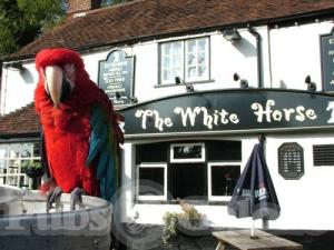 Picture of The White Horse