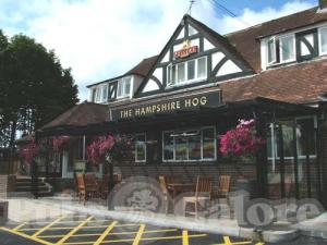 Picture of The Hampshire Hog
