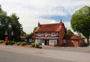 Picture of The Golden Lion