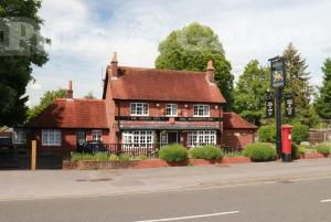Picture of The Golden Lion