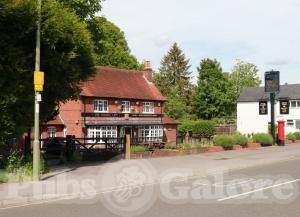 Picture of The Golden Lion