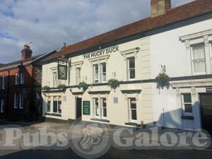 Picture of The Mucky Duck