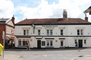 Picture of The Mucky Duck