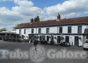 Picture of The White Lion