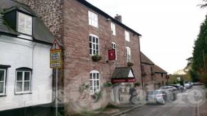 Picture of The White Lion