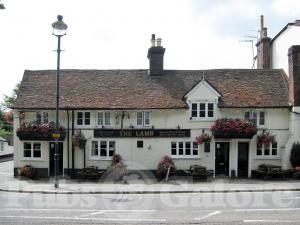 Picture of The Lamb
