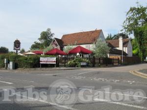 Picture of Bulls Head