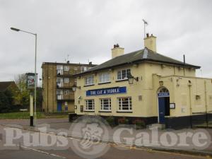 Picture of The Cat and Fiddle