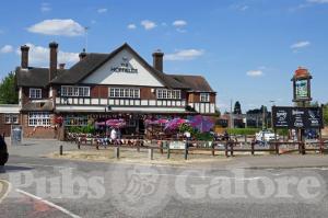 Picture of The Hopfields