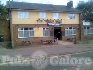 Picture of The Tudor Rose