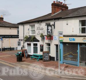 Picture of The White Lion