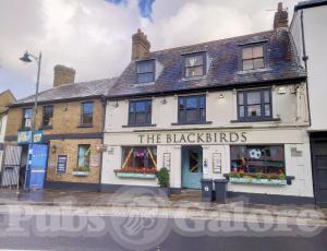 Picture of The Blackbirds