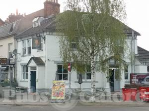 Picture of The Albert Inn