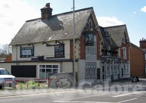 Picture of The Nightingale