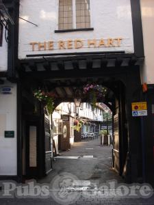 Picture of Kite at The Red Hart