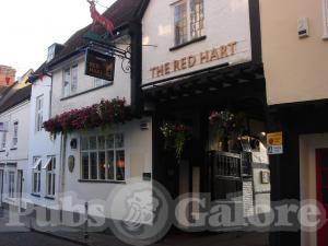Picture of Kite at The Red Hart