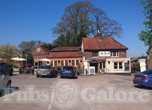 Picture of The Rose & Crown
