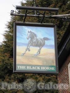 Picture of Black Horse