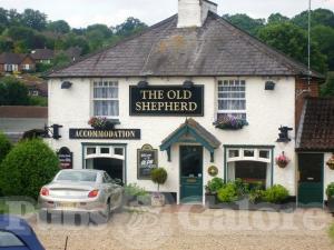Picture of The Old Shepherd