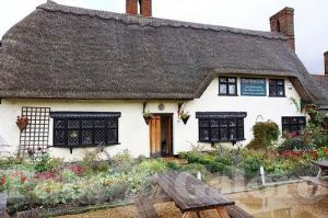 Picture of The Red Cow