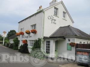 Picture of The Orange Tree