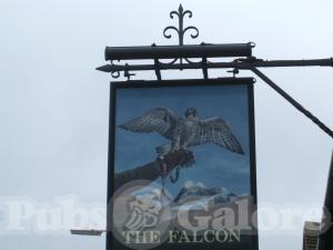 Picture of The Falcon