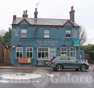 Picture of The Peacock