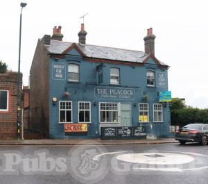 Picture of The Peacock