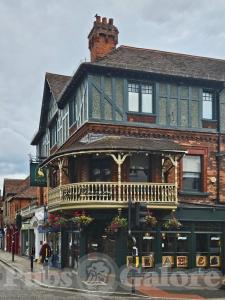 Picture of The Peahen