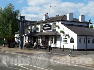 Picture of White Horse