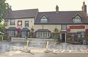 Picture of The Swan