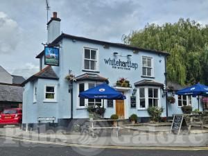 Picture of White Hart Tap