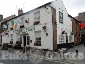 Picture of The White Swan