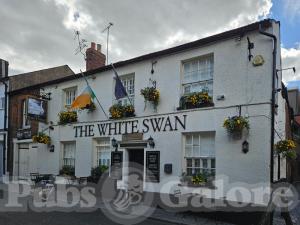 Picture of The White Swan