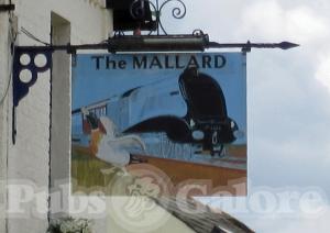 Picture of The Mallard